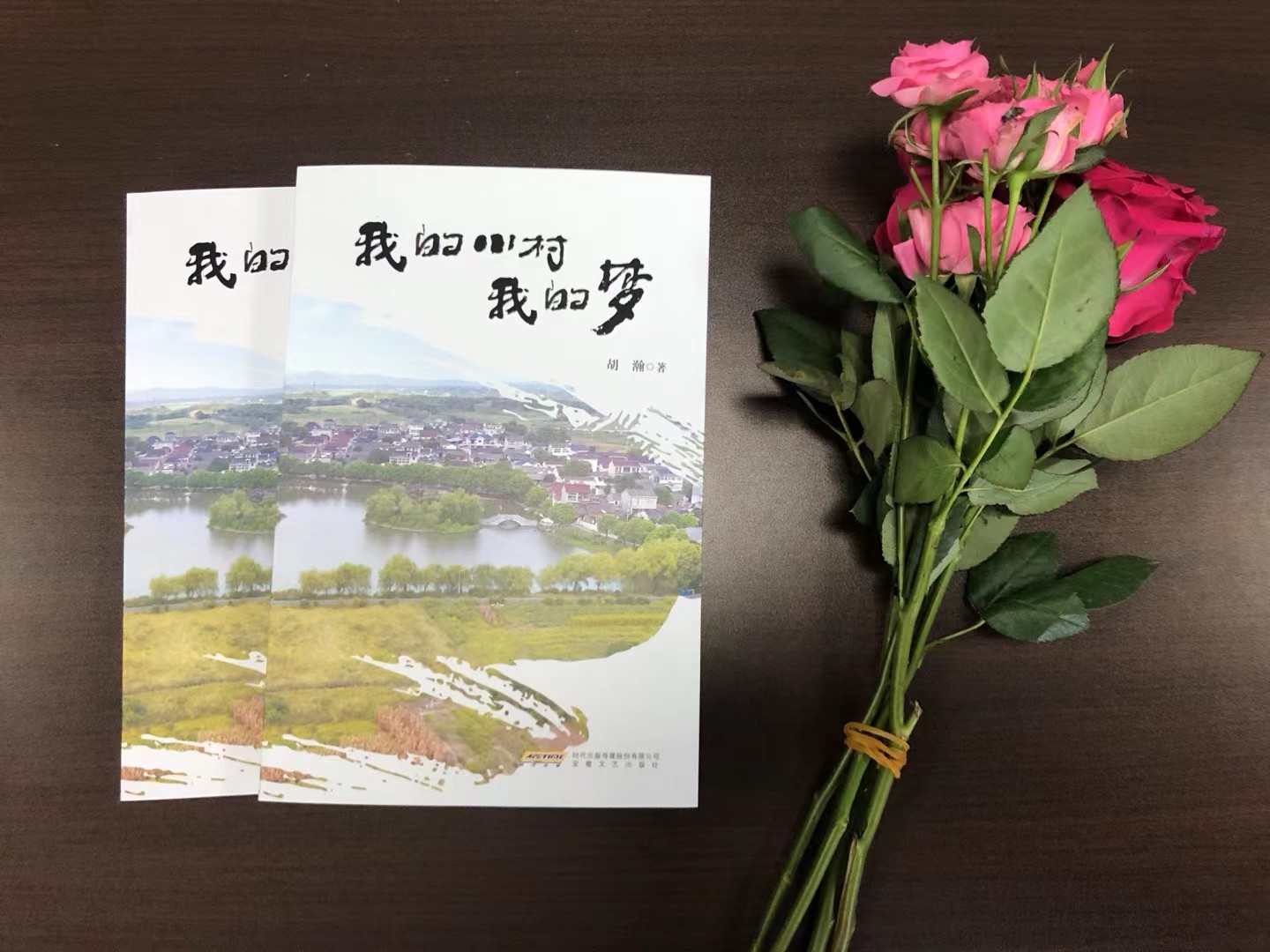 一首乡村振兴的歌谣：《我的小村我的梦》新书分享会