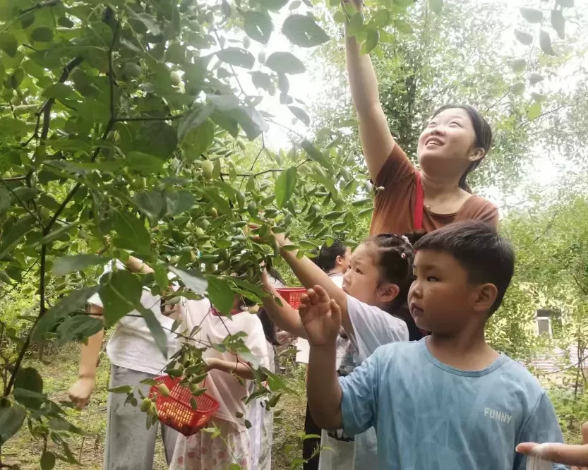 繁昌区繁阳镇：乐享长枣采摘季 共建美好新生活